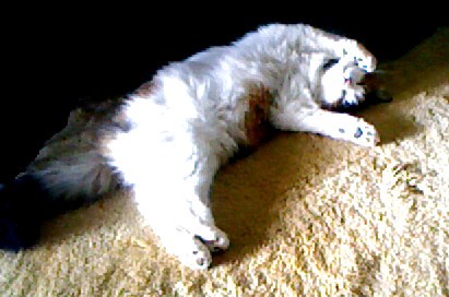 Mmm. . . NICE and warm. . . 